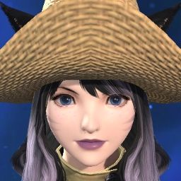 Nyx Kitten