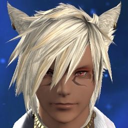 Fourx Cat