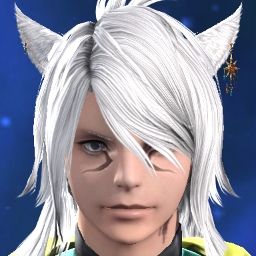 Neige Chaton