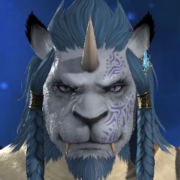 Thorgrim Daruki