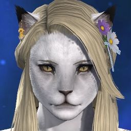 Mochi Nyancoro
