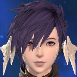Taro Internal