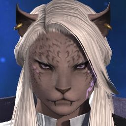 Kitty Whiskers