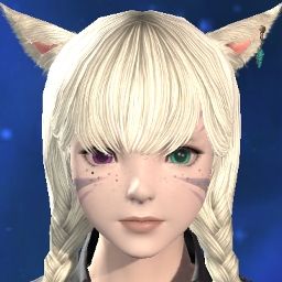 Pocket Miqo'te