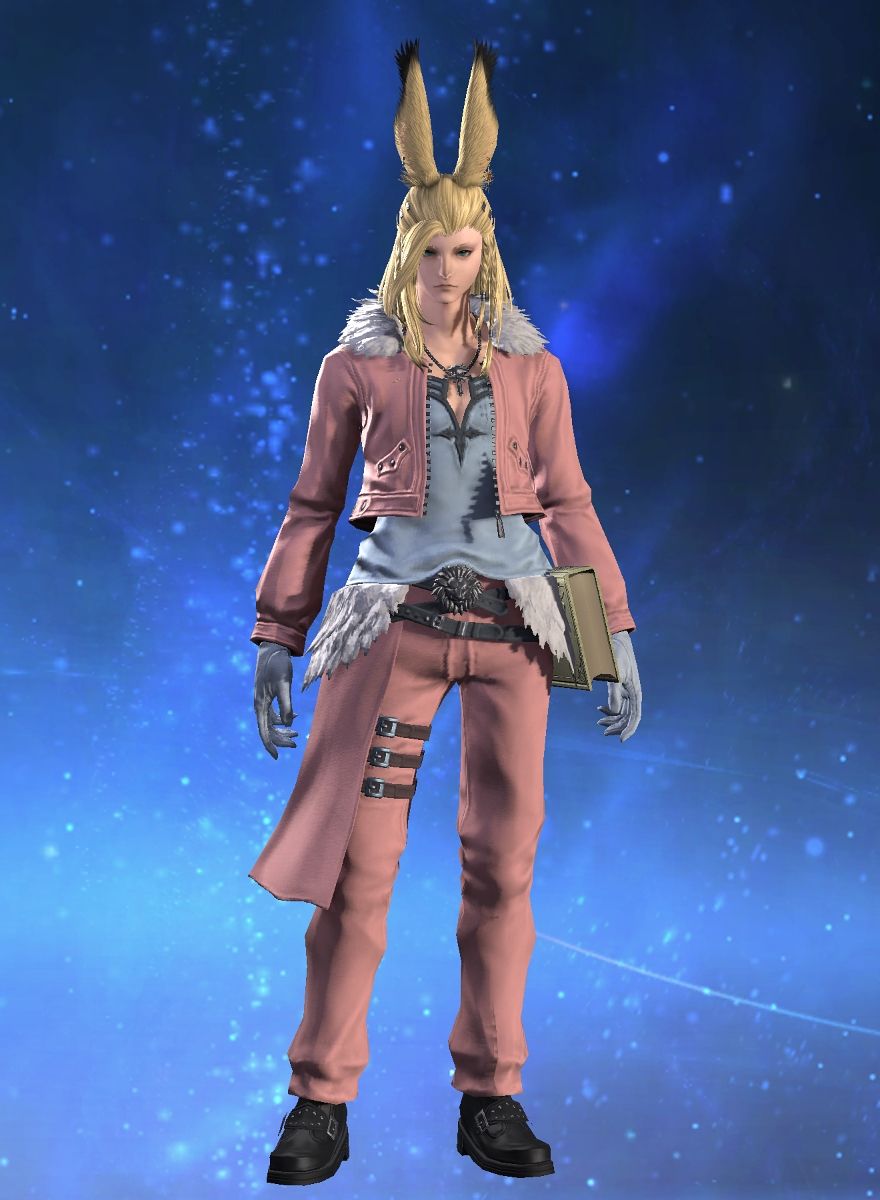 Link Windrider