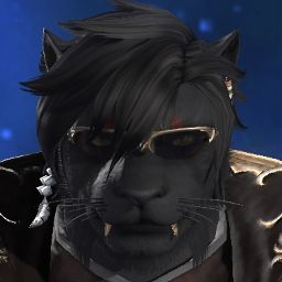 Bara Cat