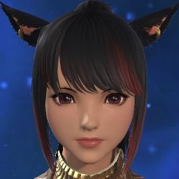 Leveling Solo