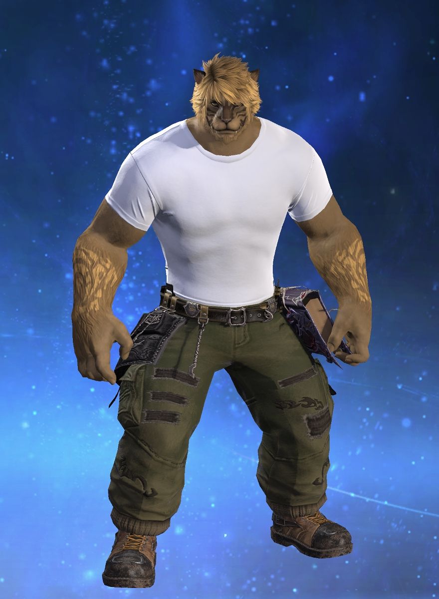 Tanklion Tester