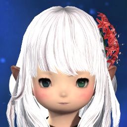 Maple Kaede