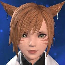Palmtop Sebby