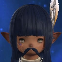 Fc Fodder