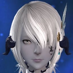 Paru Puni