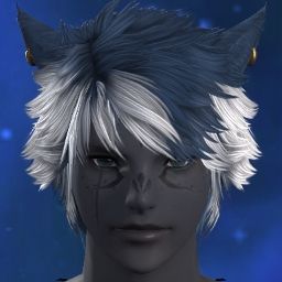 Vagrant Miqo'te