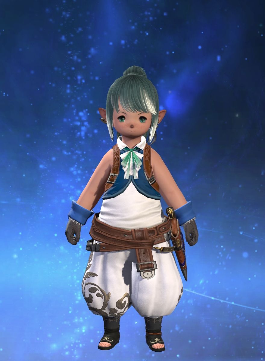 Rizz Bot (Mateus) FFXIV Collect