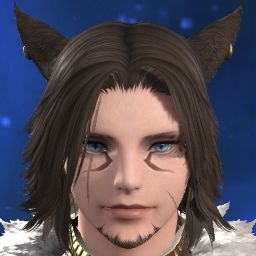 Winter Soldat