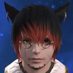 Jaxx Stray